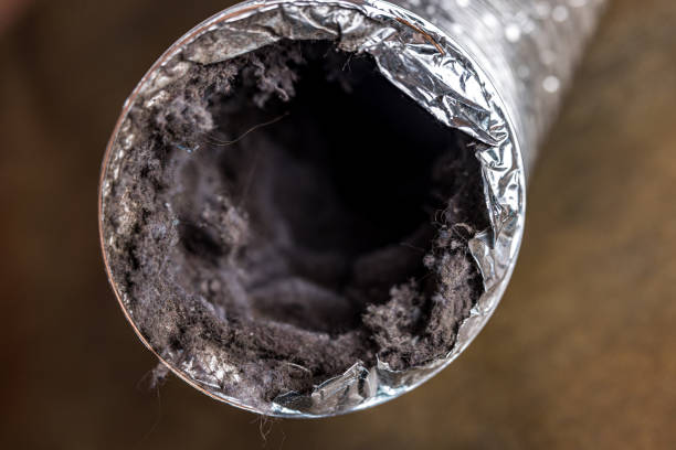 Best HVAC Air Duct Cleaning  in Wd, AR