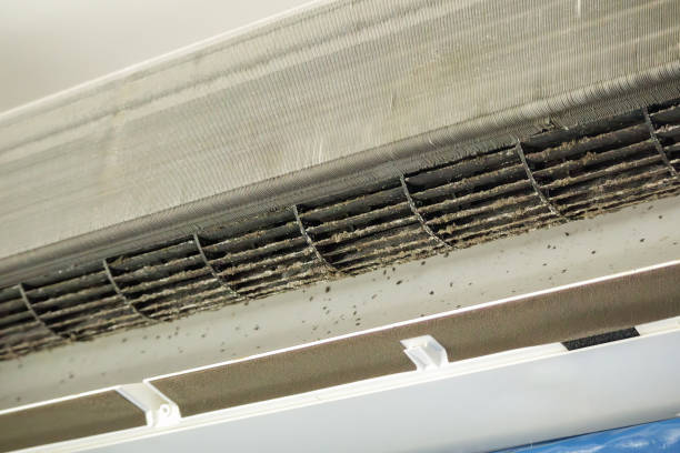 Best Affordable Duct Cleaning Services  in Wd, AR