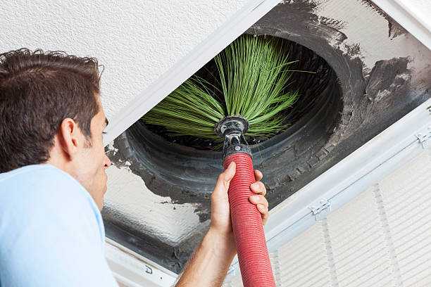 Best Air Duct Mold Removal  in Wd, AR